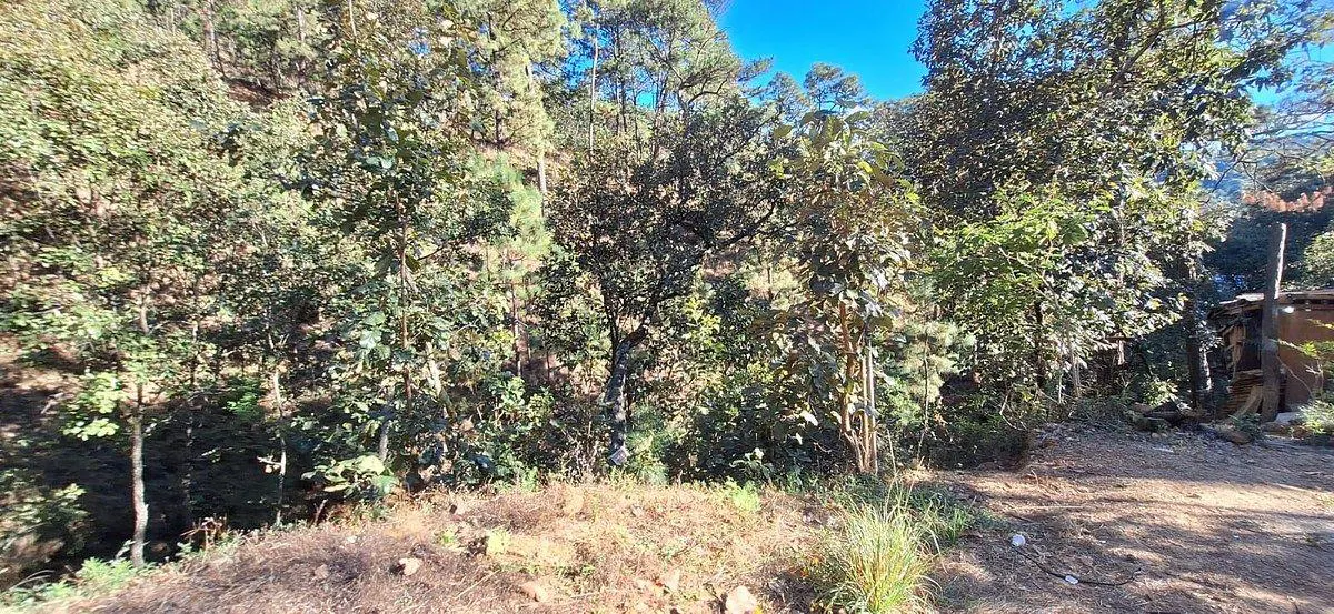 Terreno Spot2