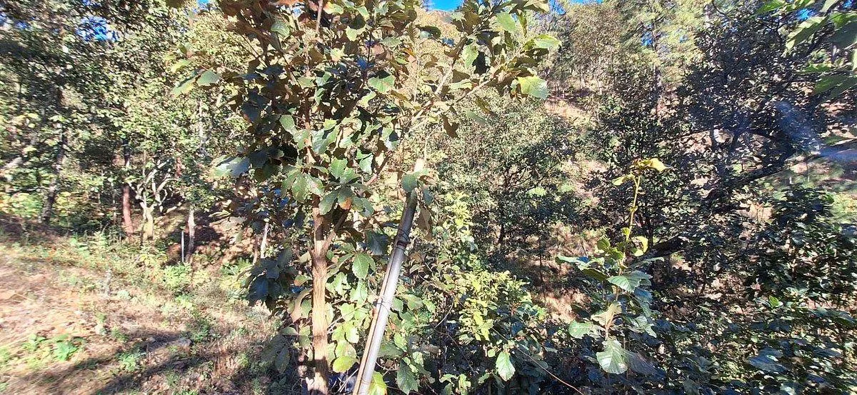 Terreno Spot2