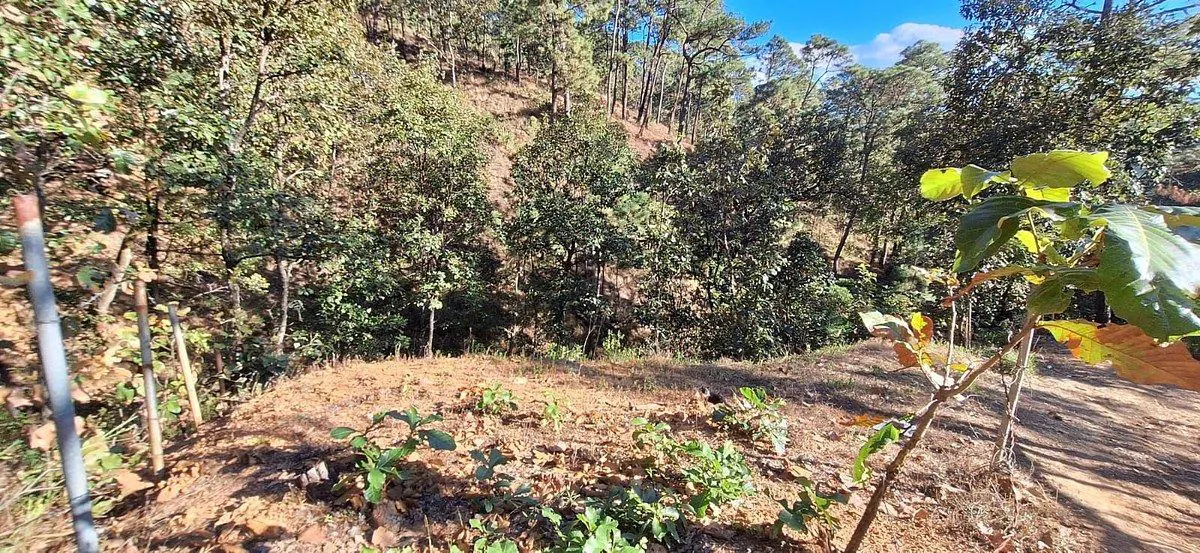 Terreno Spot2