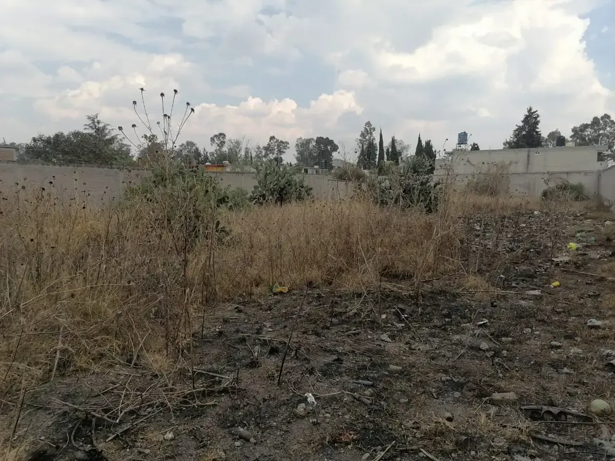 Terreno Spot2