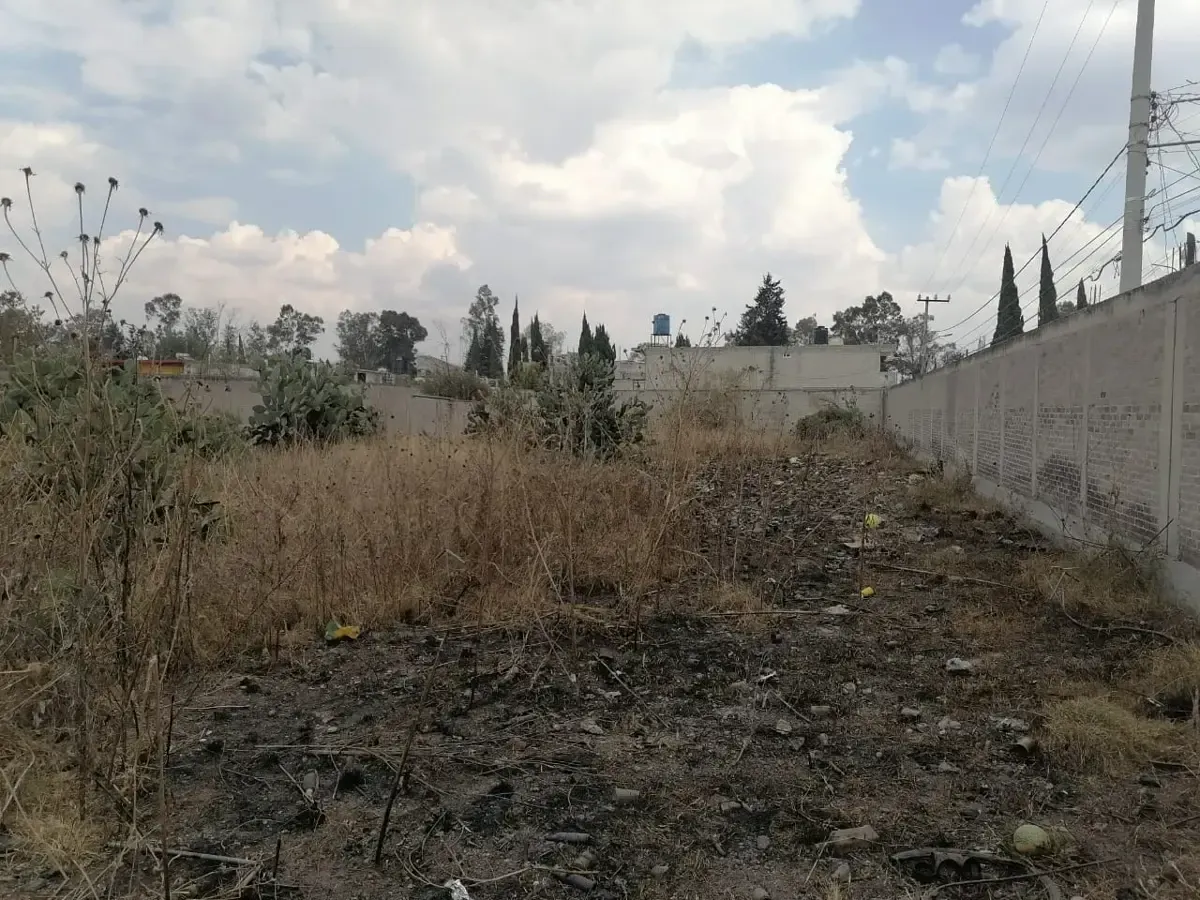Terreno Spot2