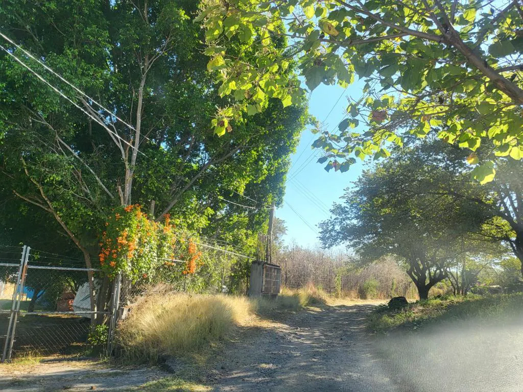 Terreno Spot2