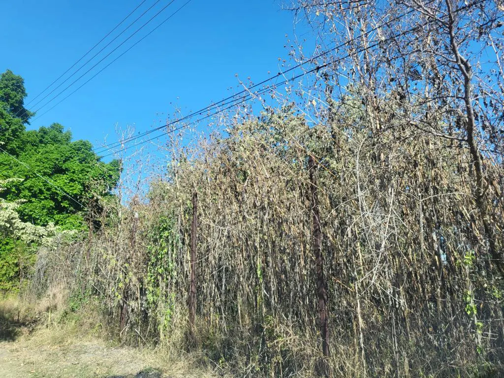 Terreno Spot2