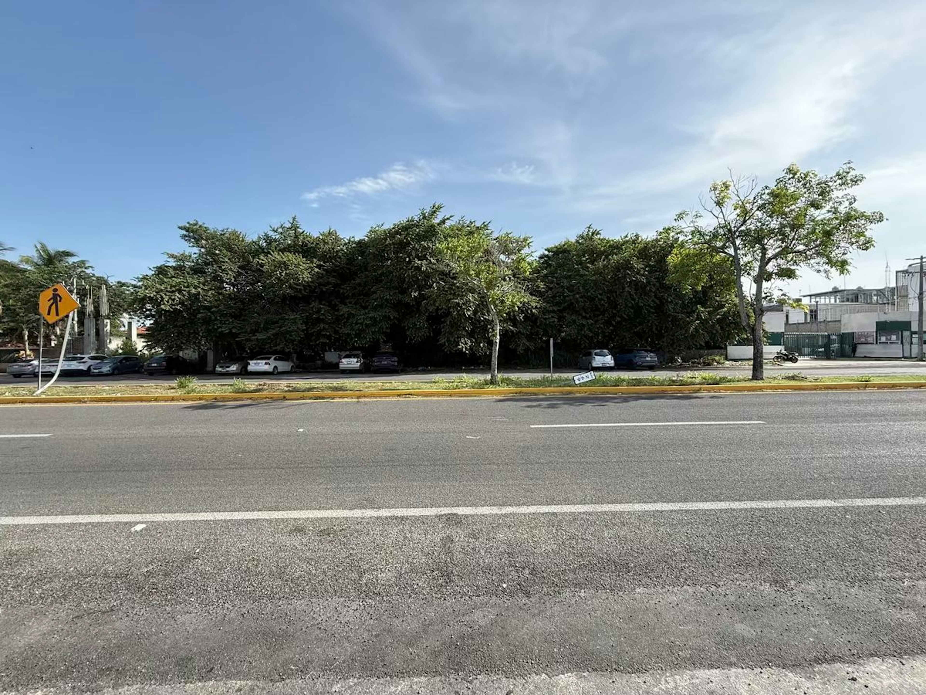 Avenida Álvaro Obregón