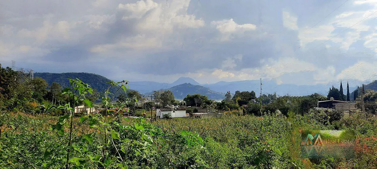 Terreno Spot2
