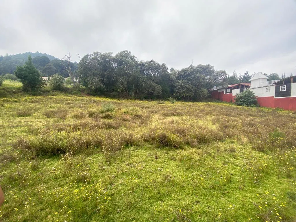 Terreno Spot2