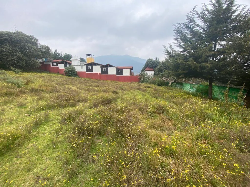 Terreno Spot2