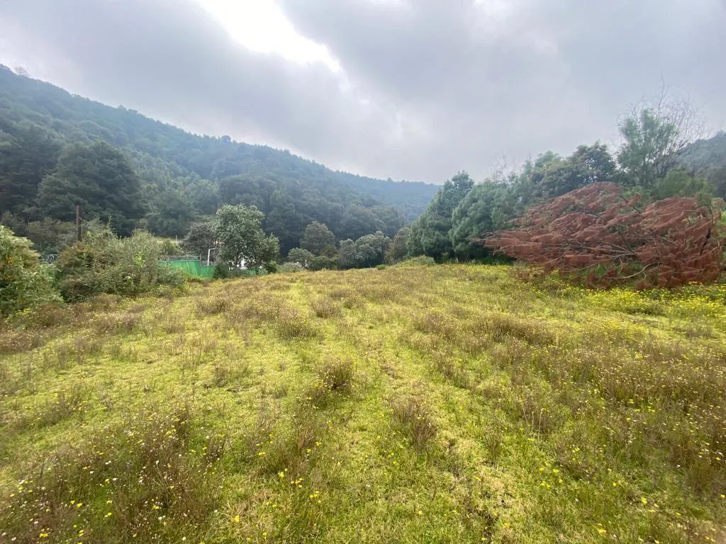 Terreno Spot2