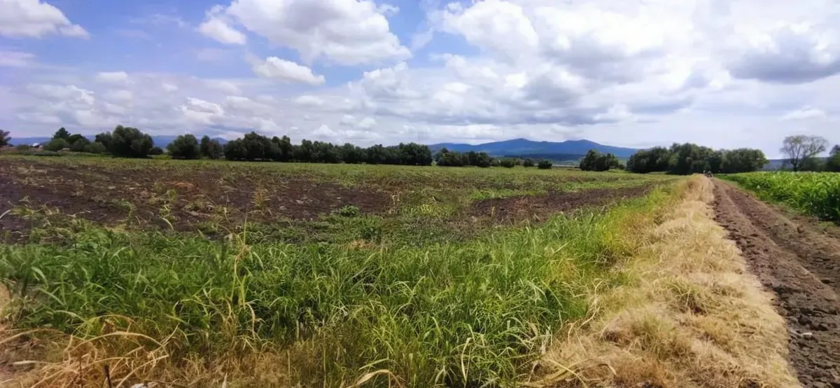 Terreno Spot2