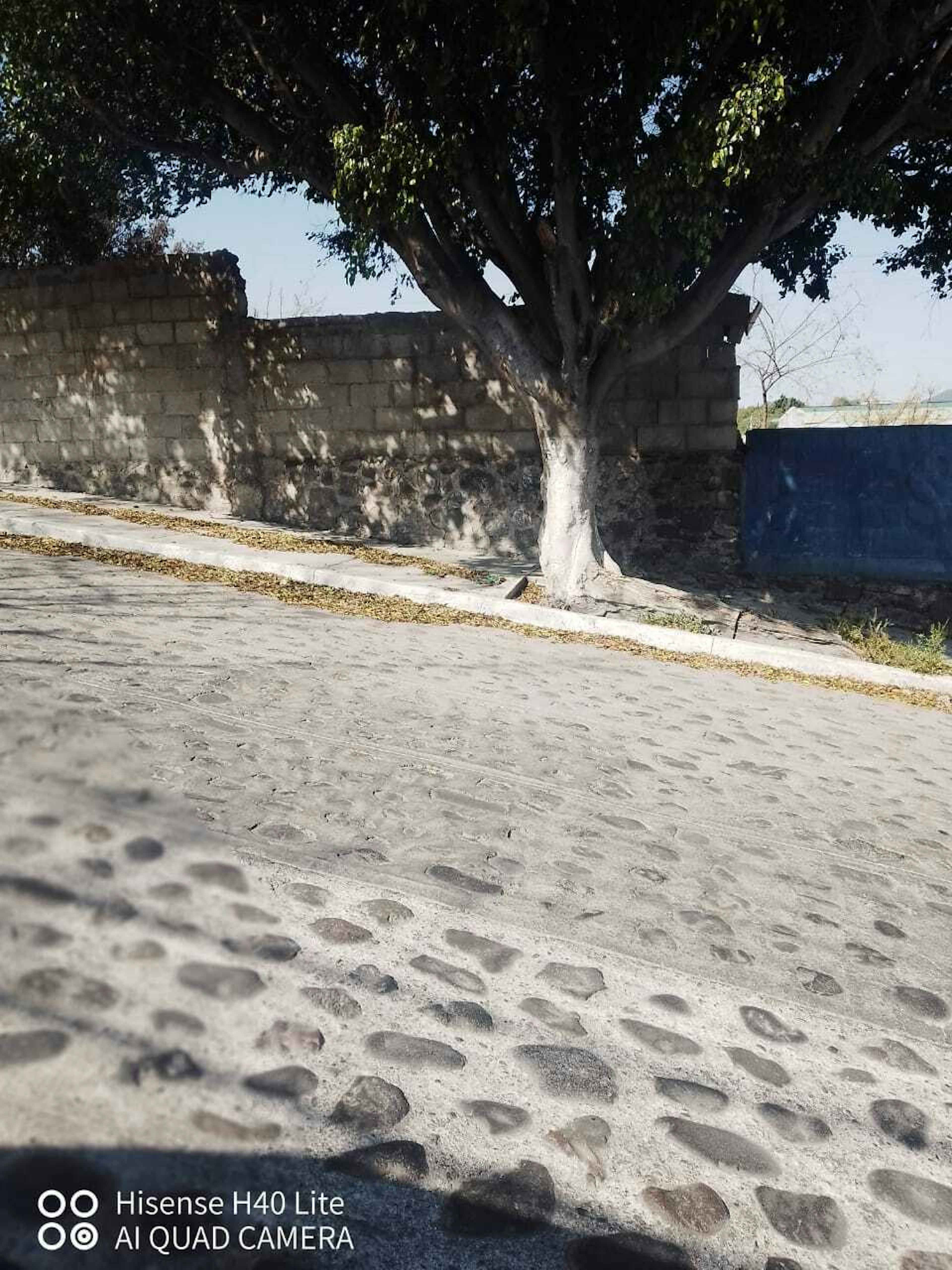 ¡invierte Hoy! Terreno En Venta, Bardeado Con Uso De Suelo Mixto