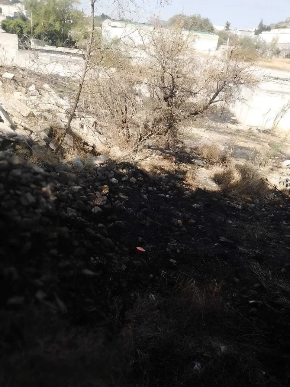 Terreno Spot2