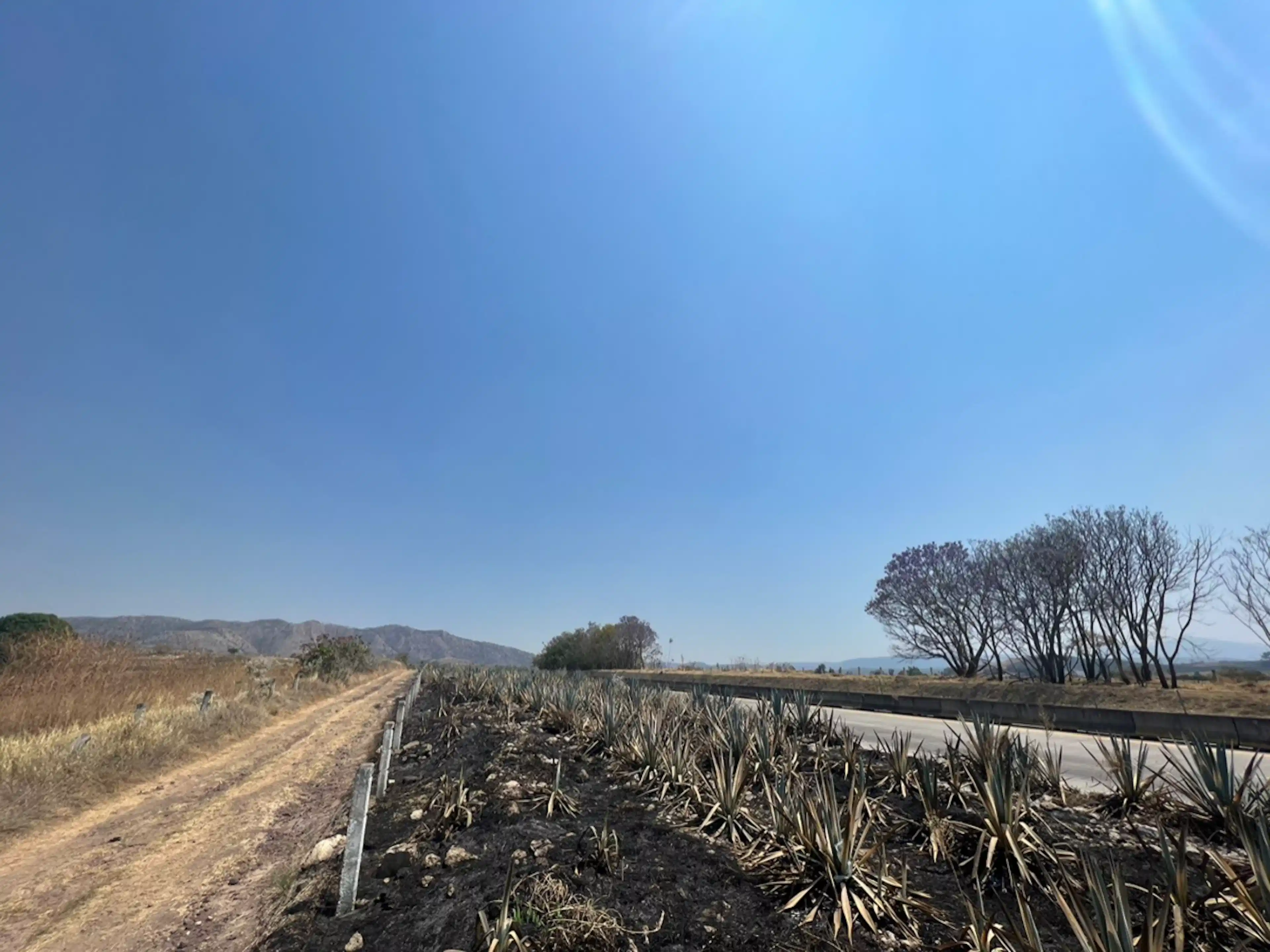 Terreno En Venta, El Arenal Jalisco