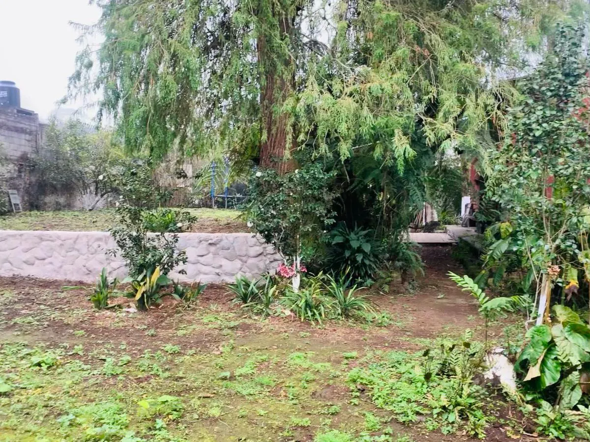 Terreno Spot2