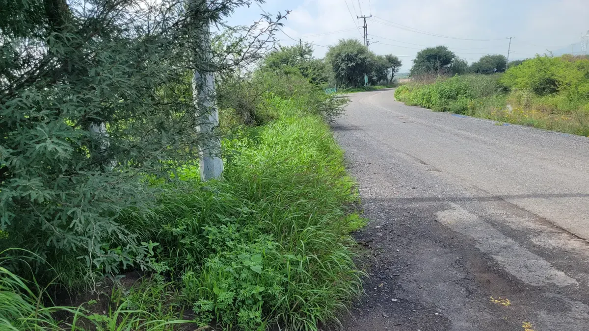 Terreno Spot2