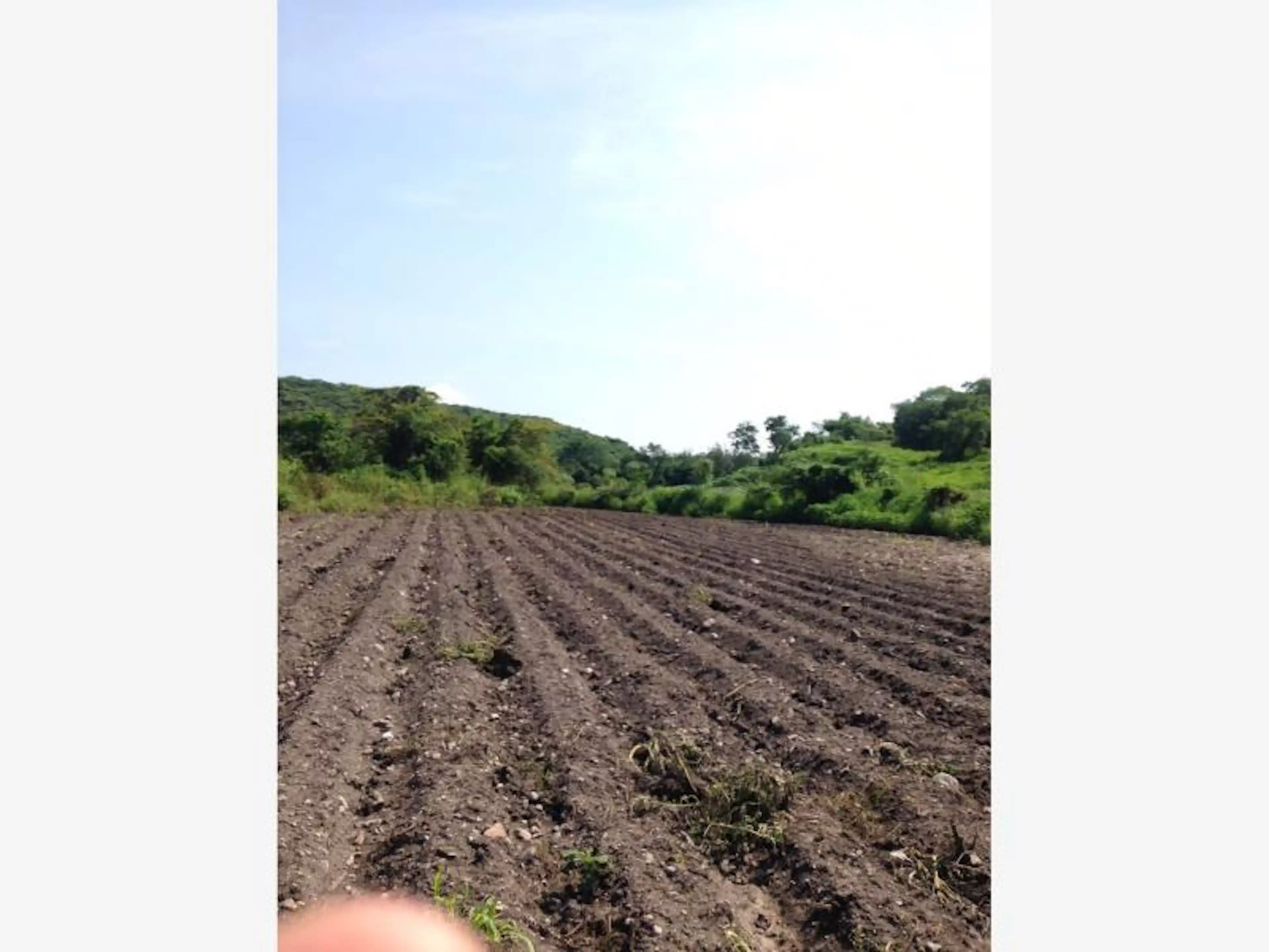 Terreno En Venta En Santa Rosa Treinta, Tlaltizapán De Zapata, Morelos