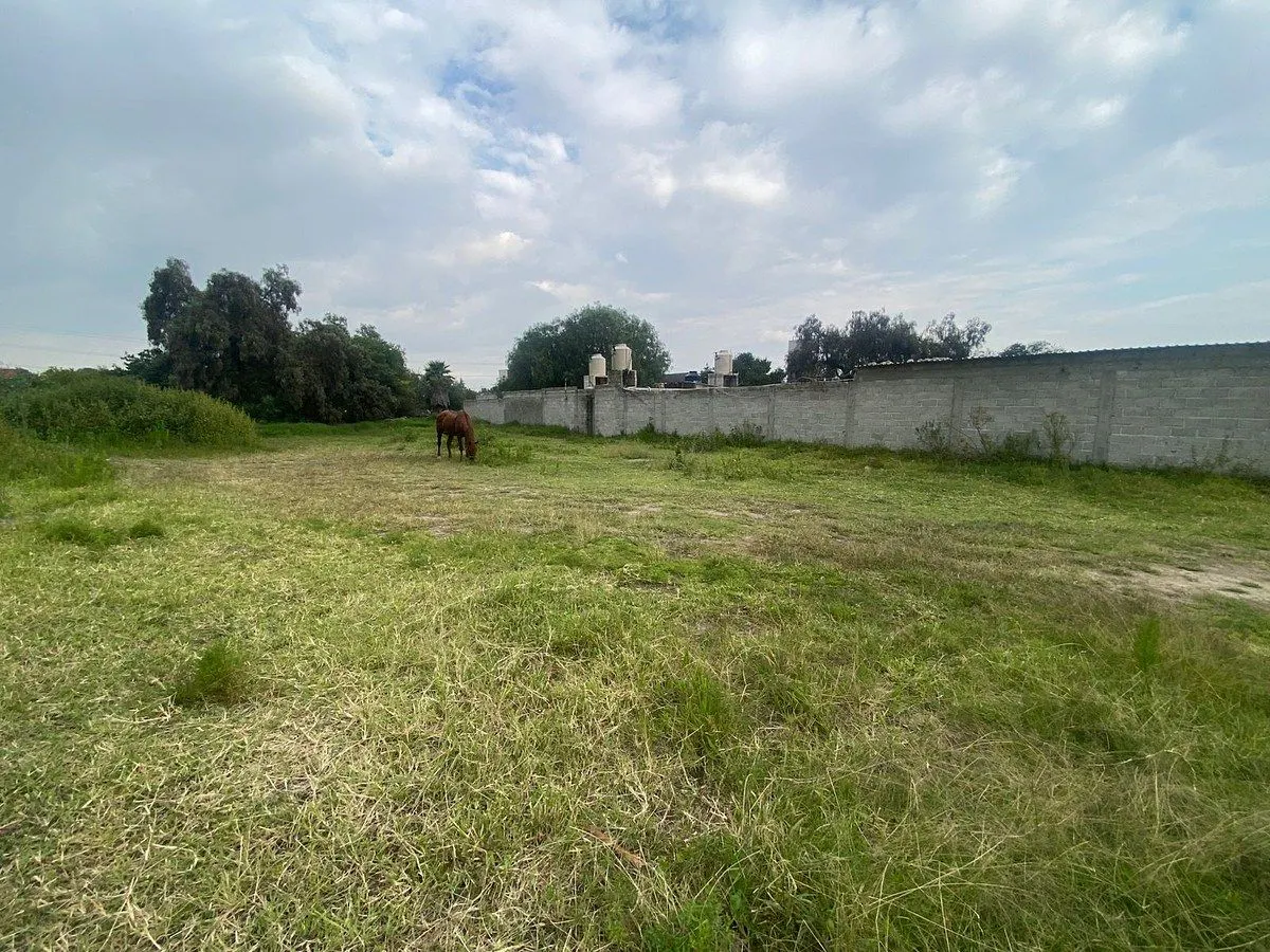Terreno Spot2