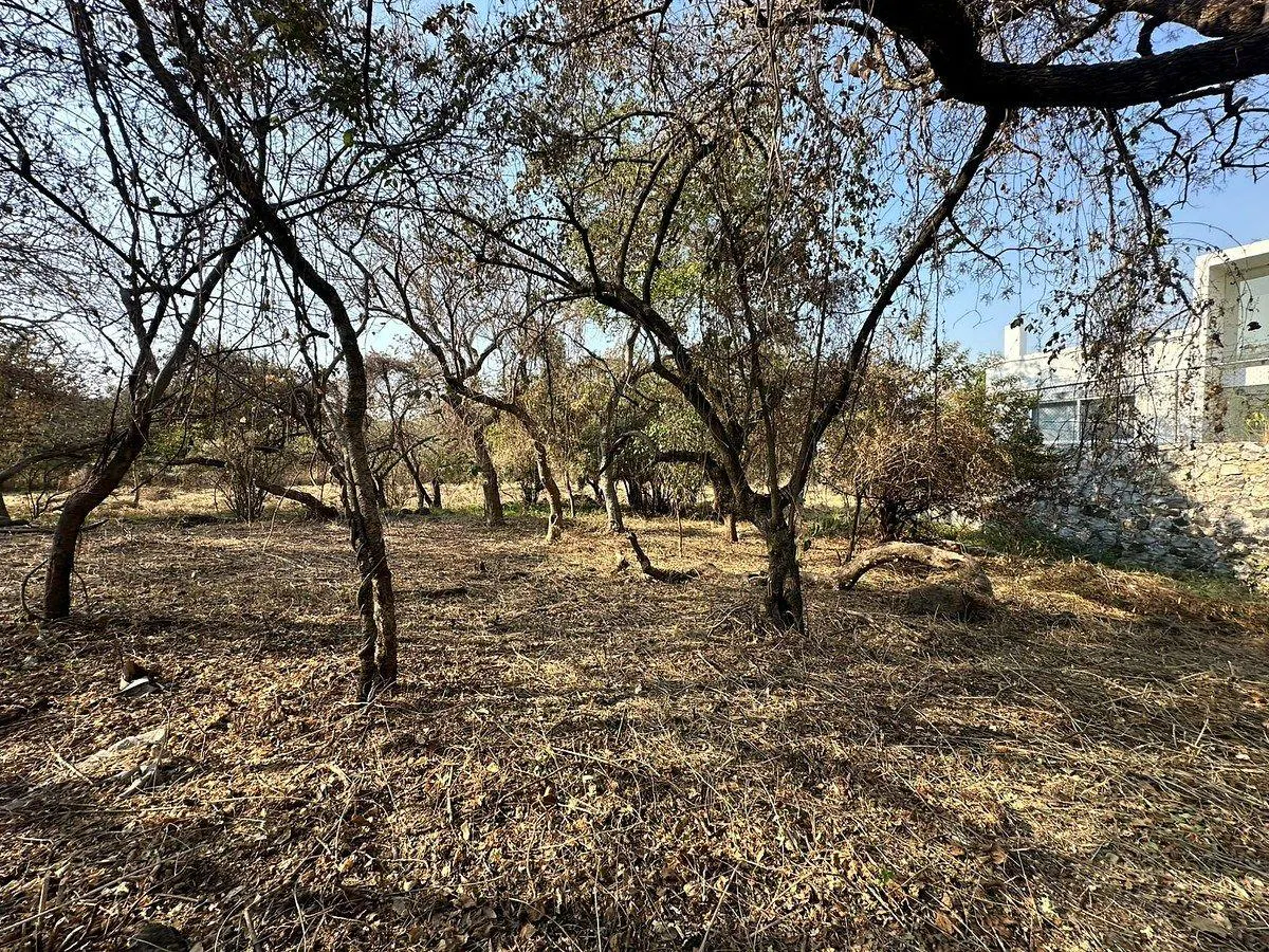 Terreno Spot2