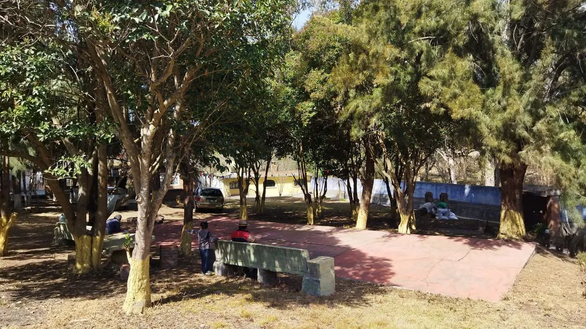 Terreno Spot2