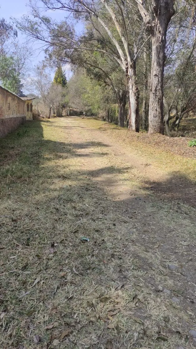 Terreno Spot2
