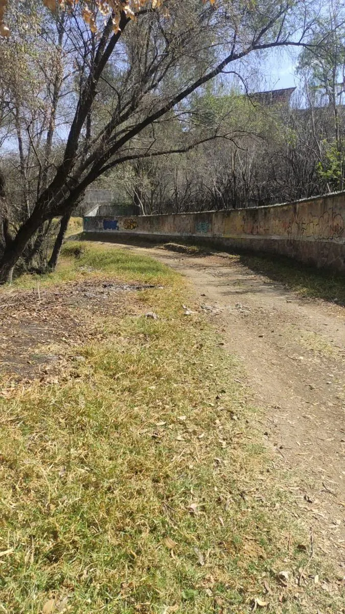 Terreno Spot2
