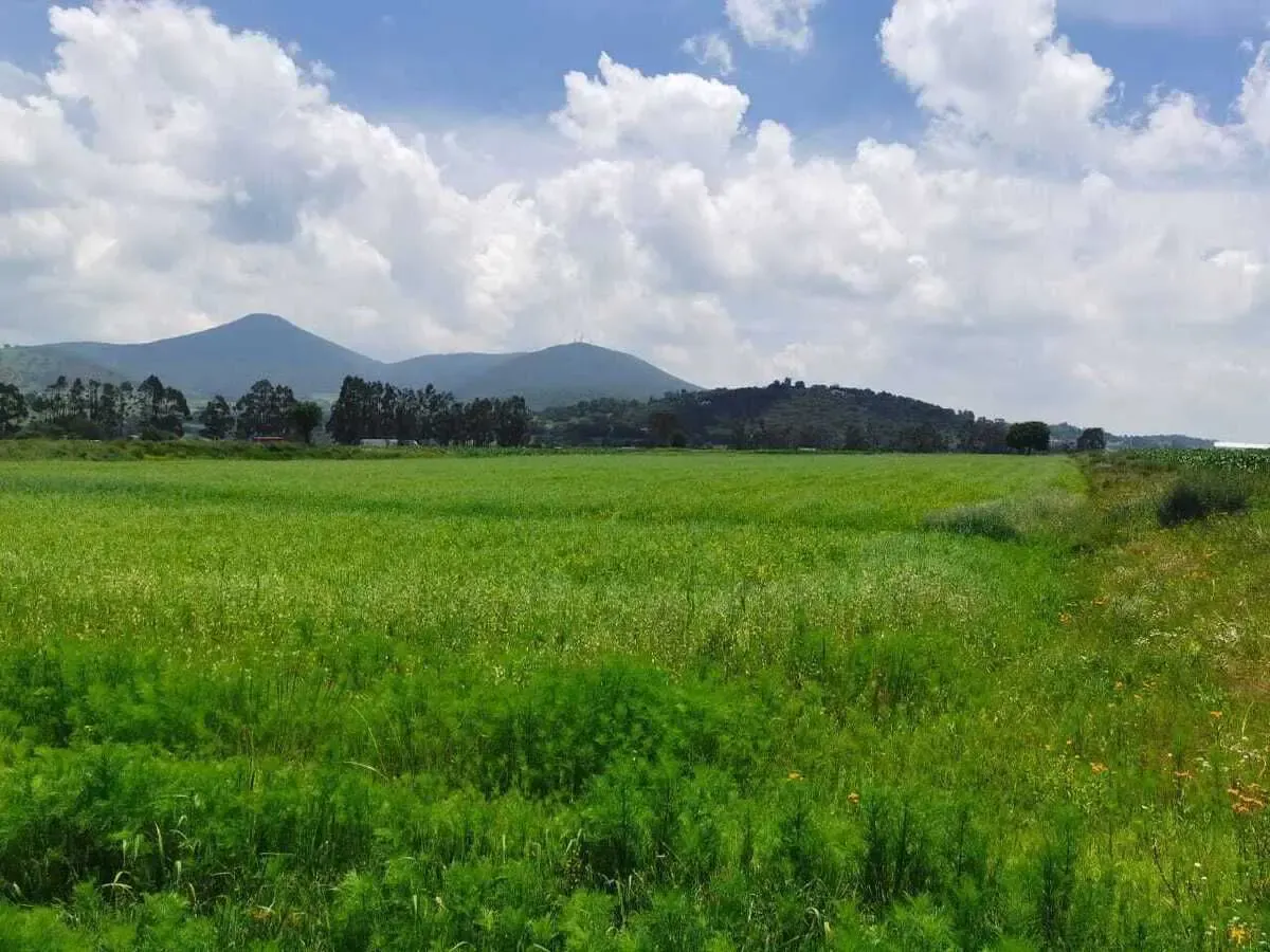Terreno Spot2