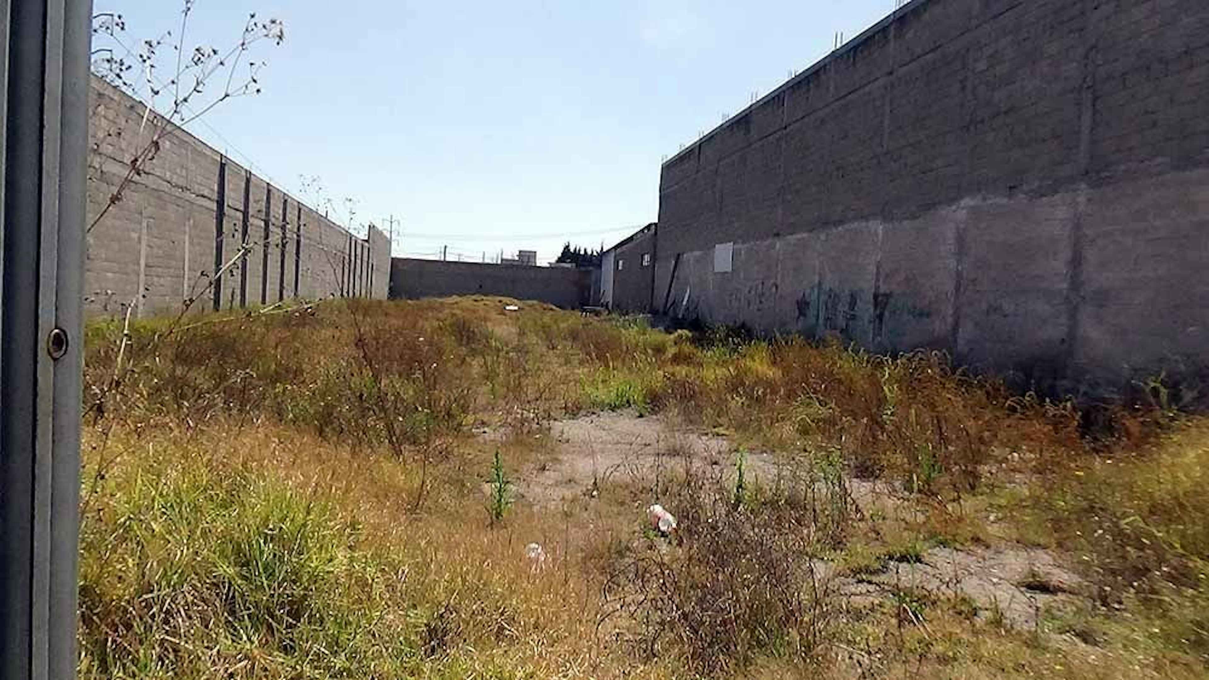 Santa Ana Tlapaltitlán