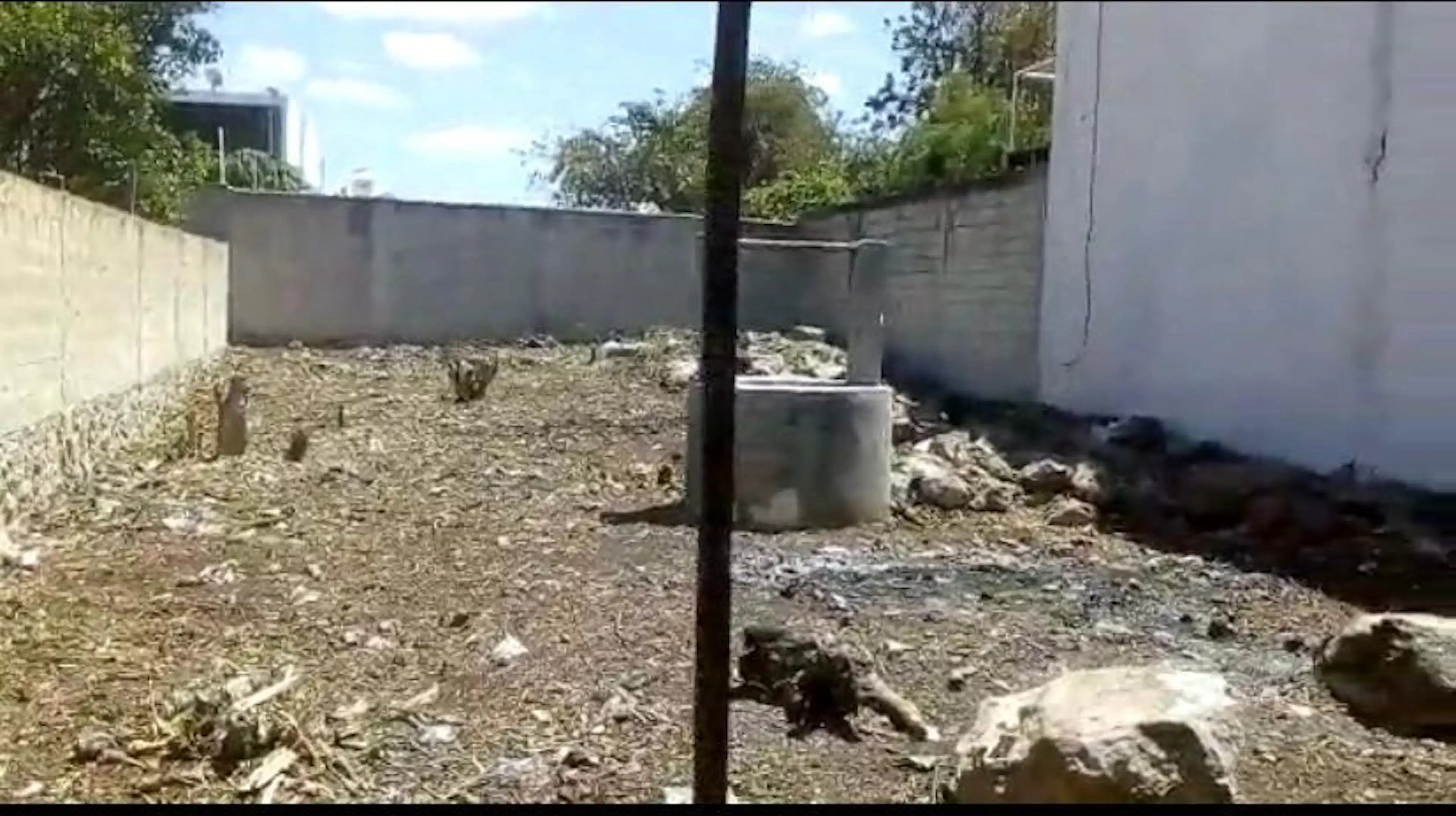Terreno - Mérida