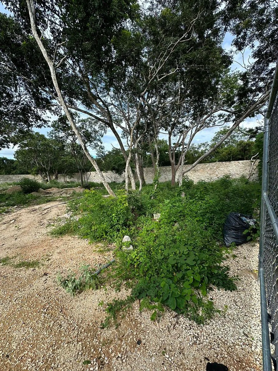 Terreno Spot2