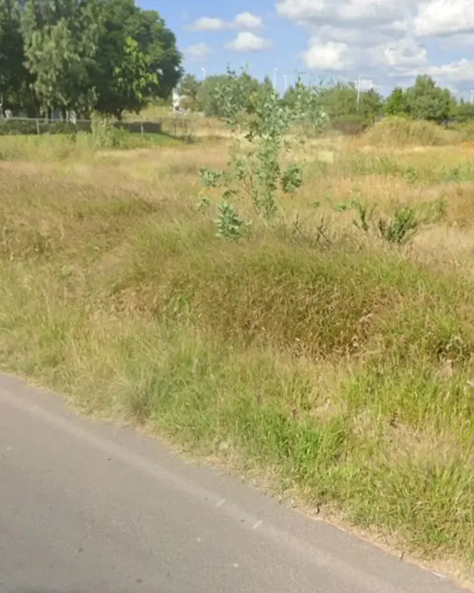 Terreno Spot2
