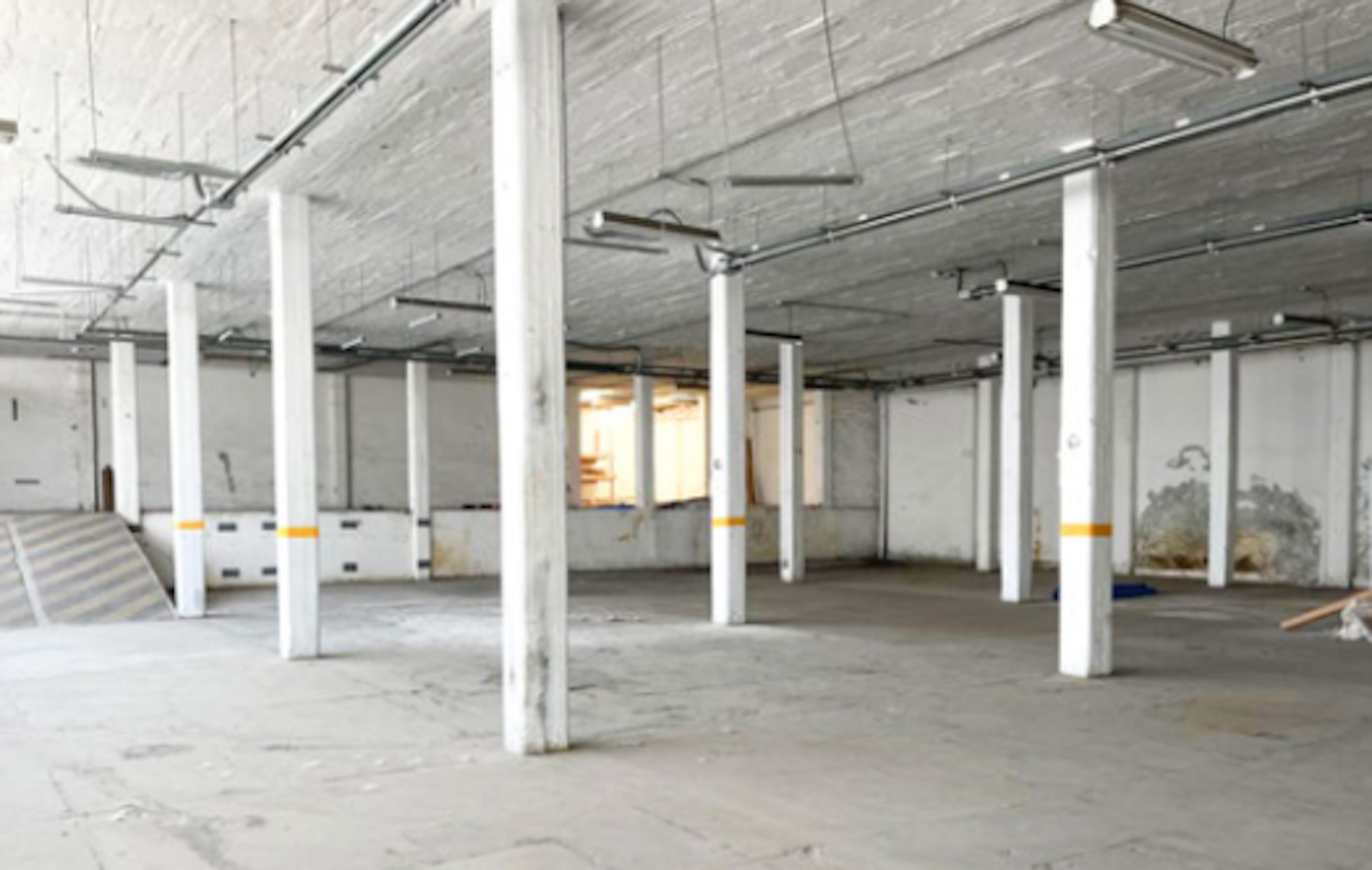 Spot image 0