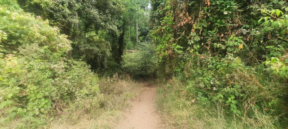 Terreno Spot2
