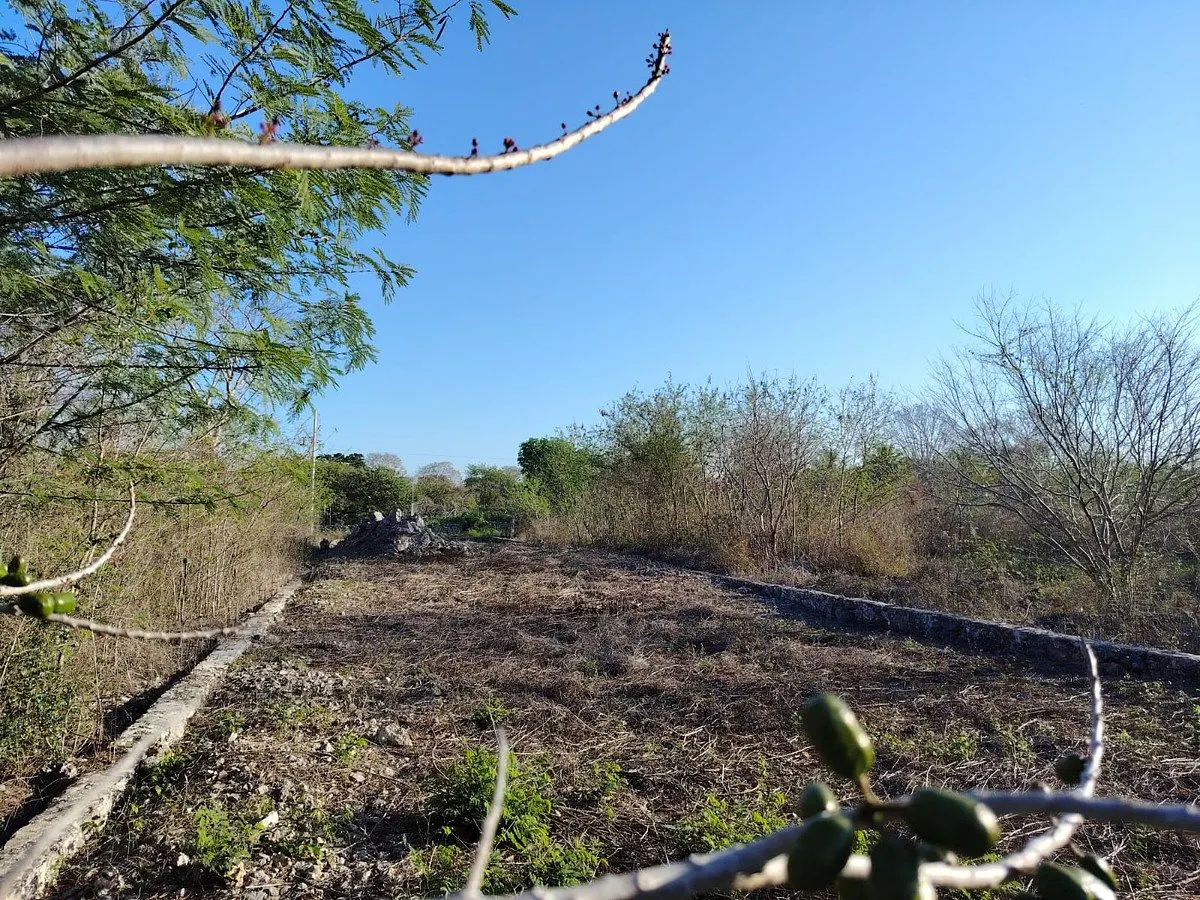 Terreno Spot2