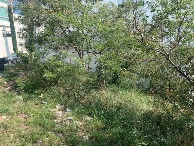 Terreno Spot2