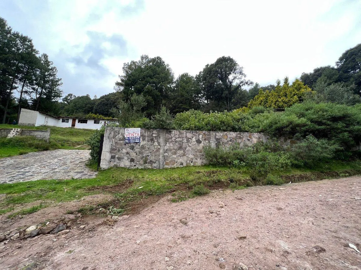 Terreno Spot2