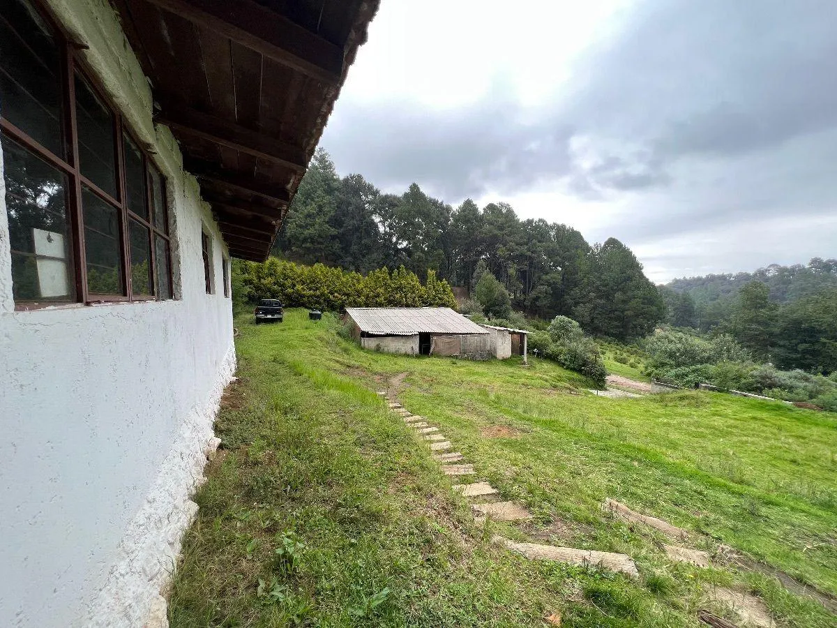 Terreno Spot2