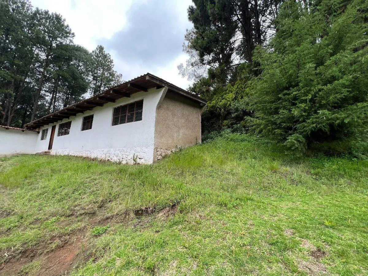 Terreno Spot2