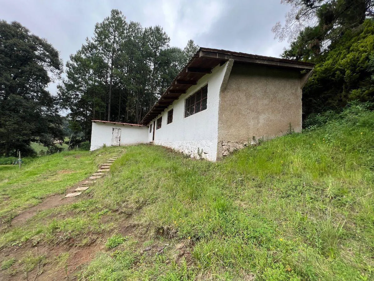 Terreno Spot2