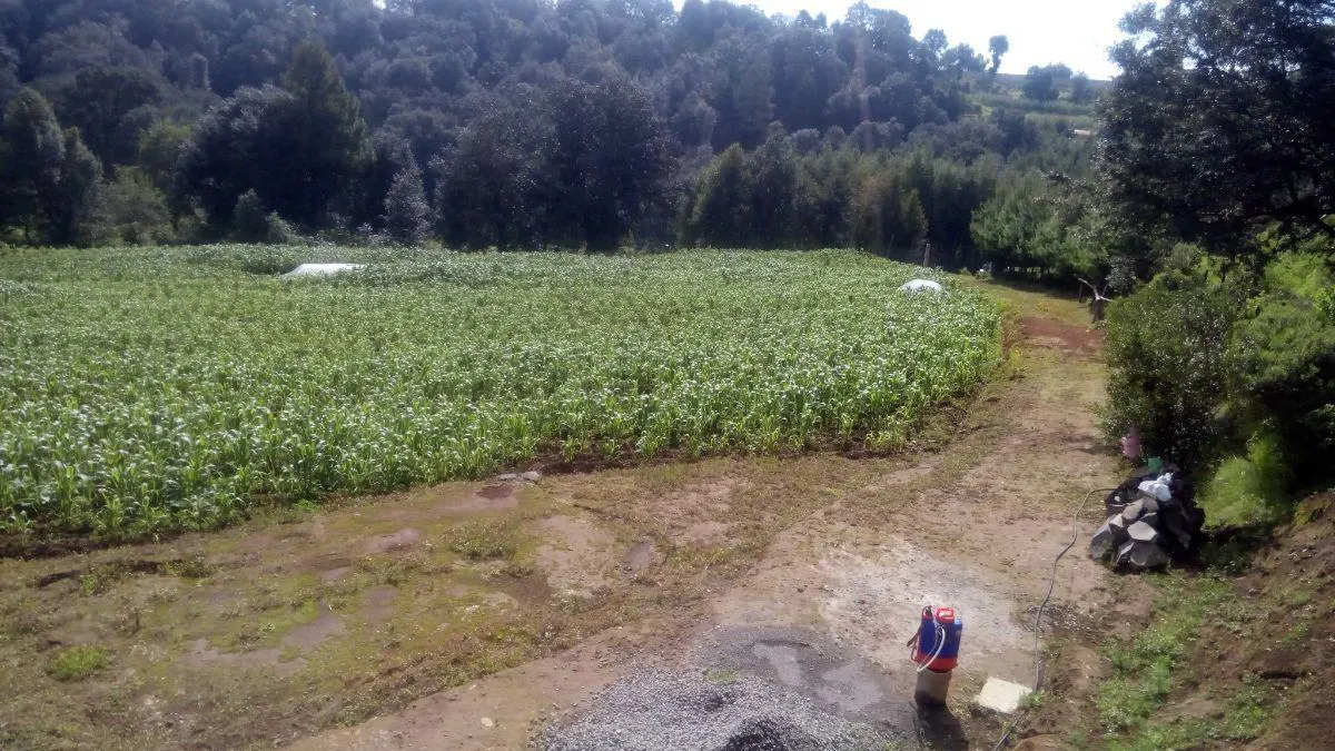 Terreno Spot2