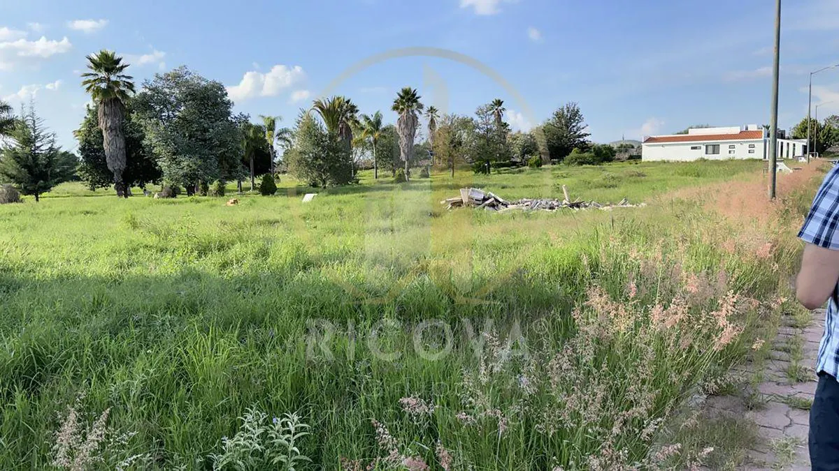 Terreno Spot2
