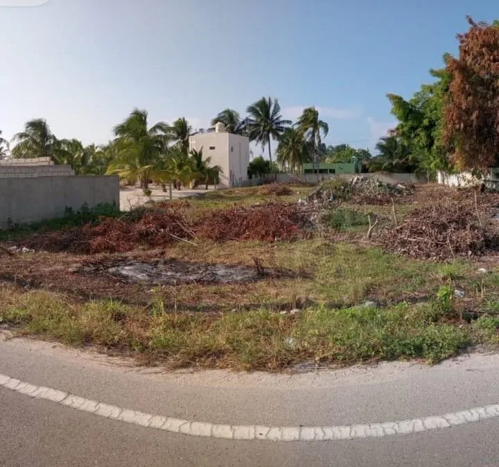 Terreno Spot2