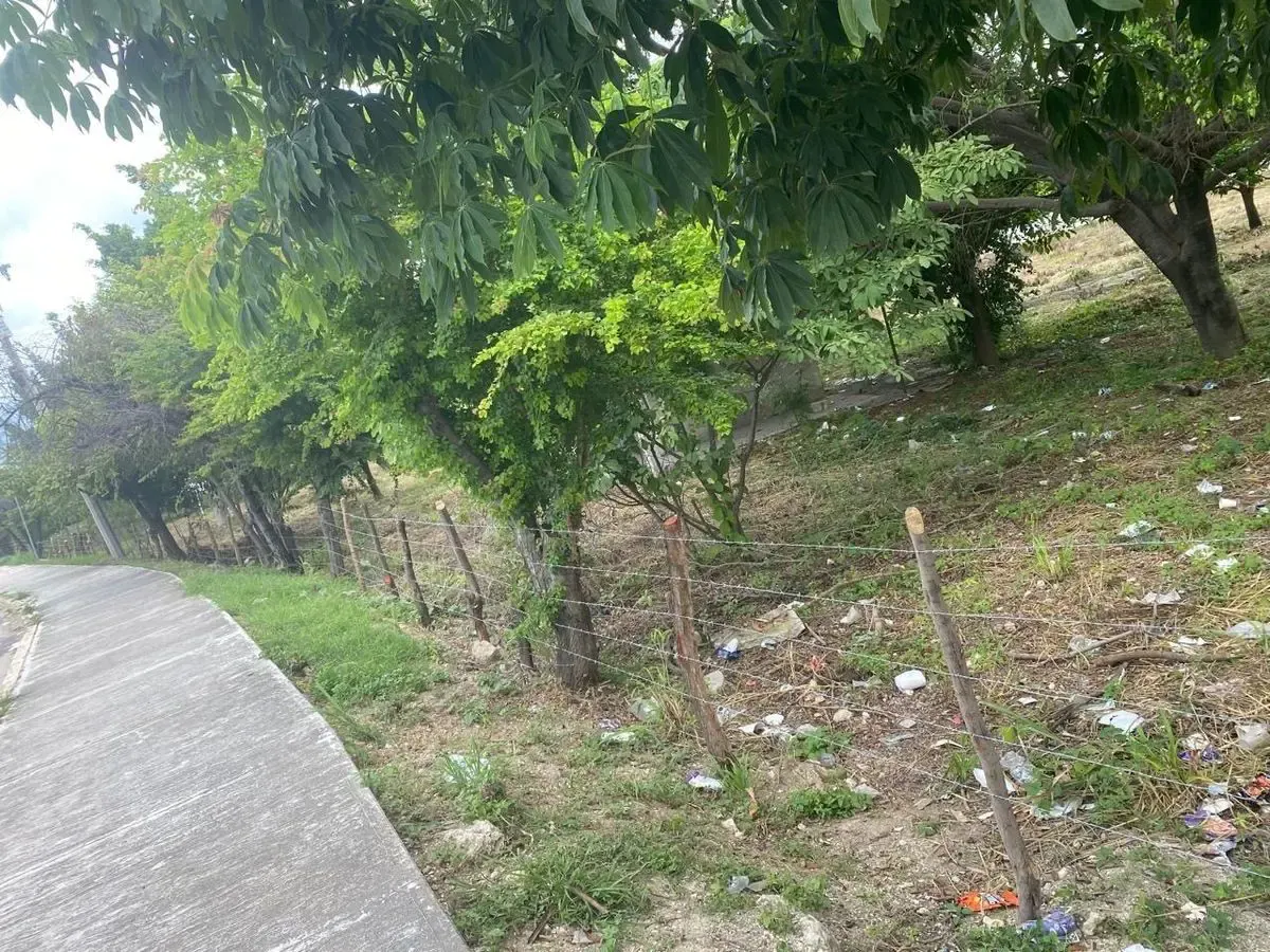 Terreno Spot2