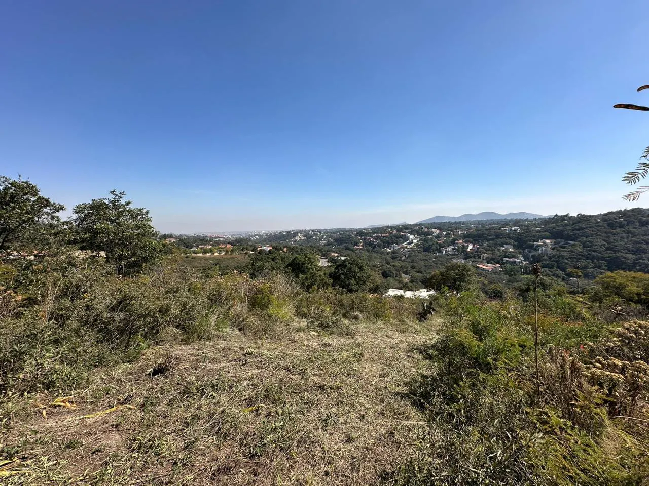 Terreno Spot2