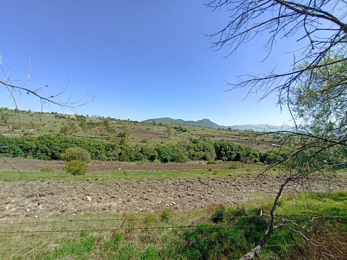 Terreno Spot2