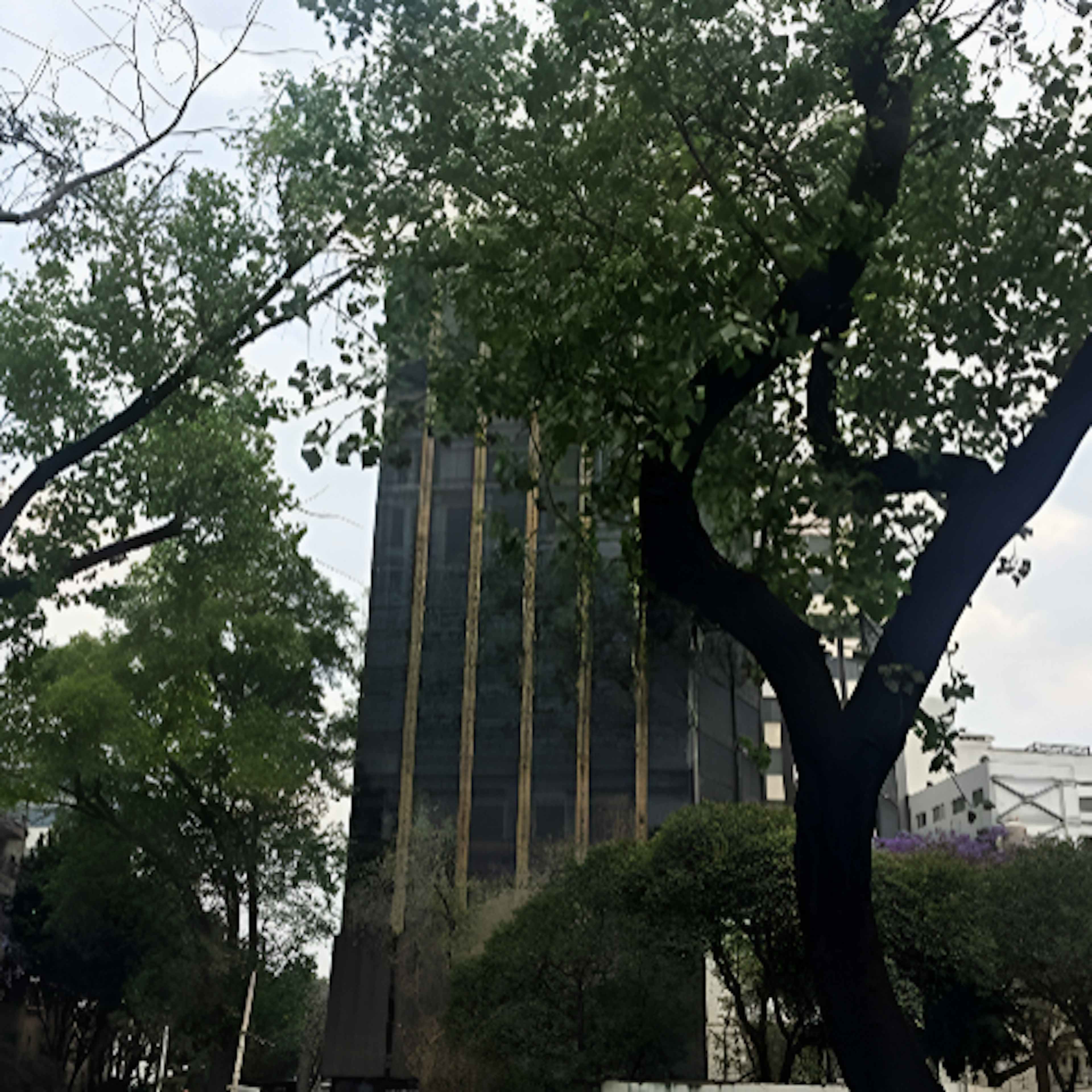 Av. Insurgentes Sur 476