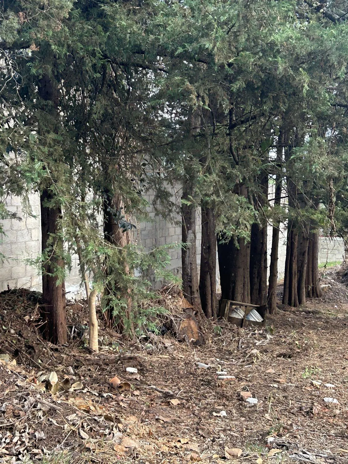 Terreno Spot2