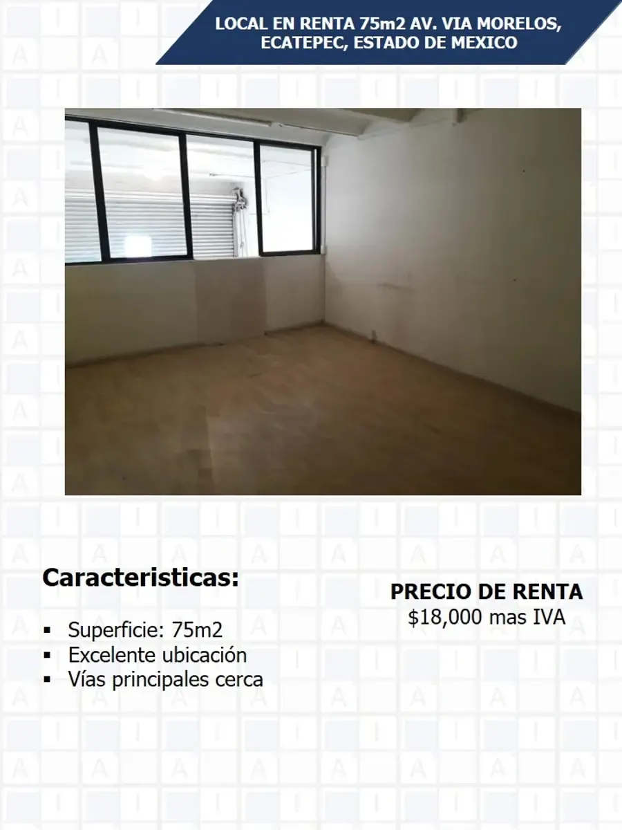 Local Comercial Spot2