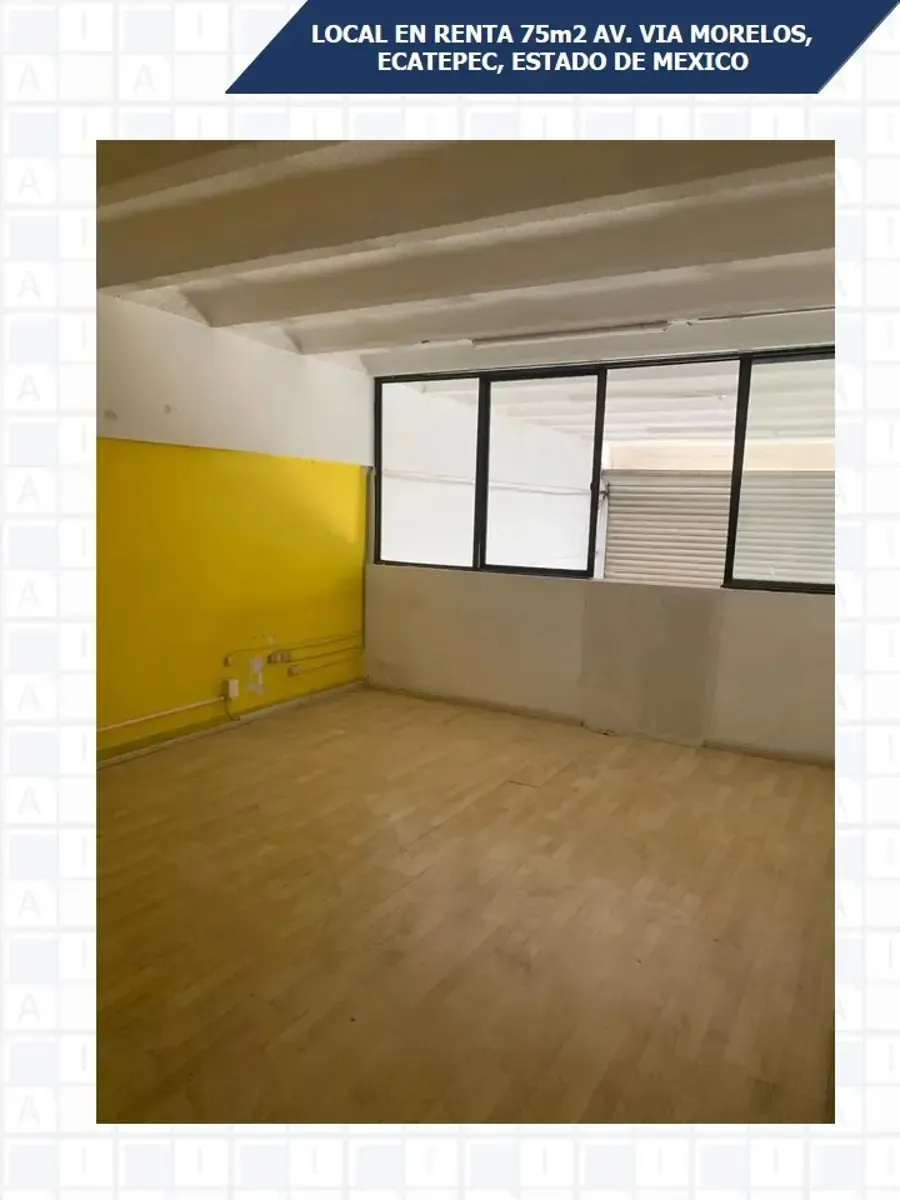 Local Comercial Spot2