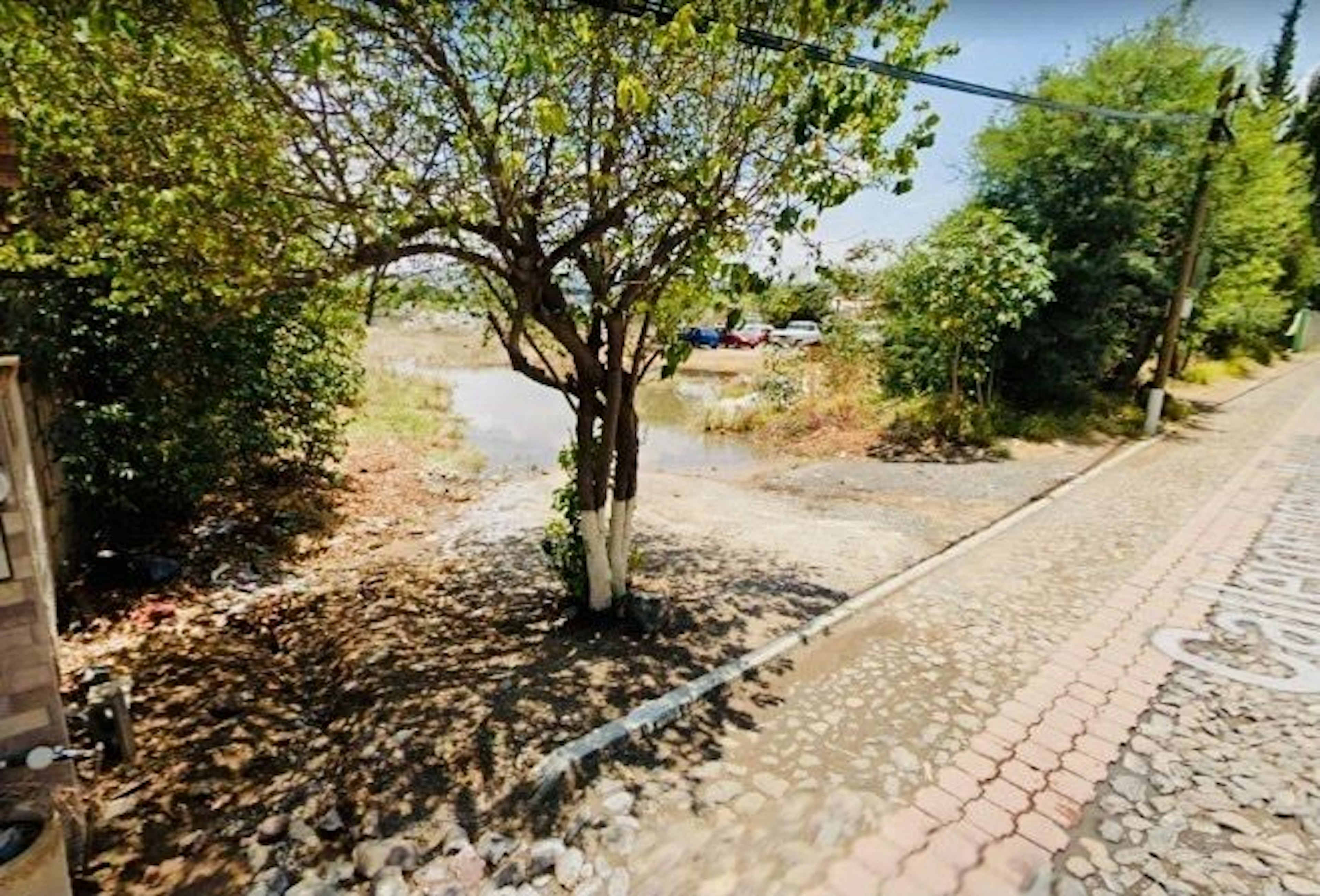 Spot image 0