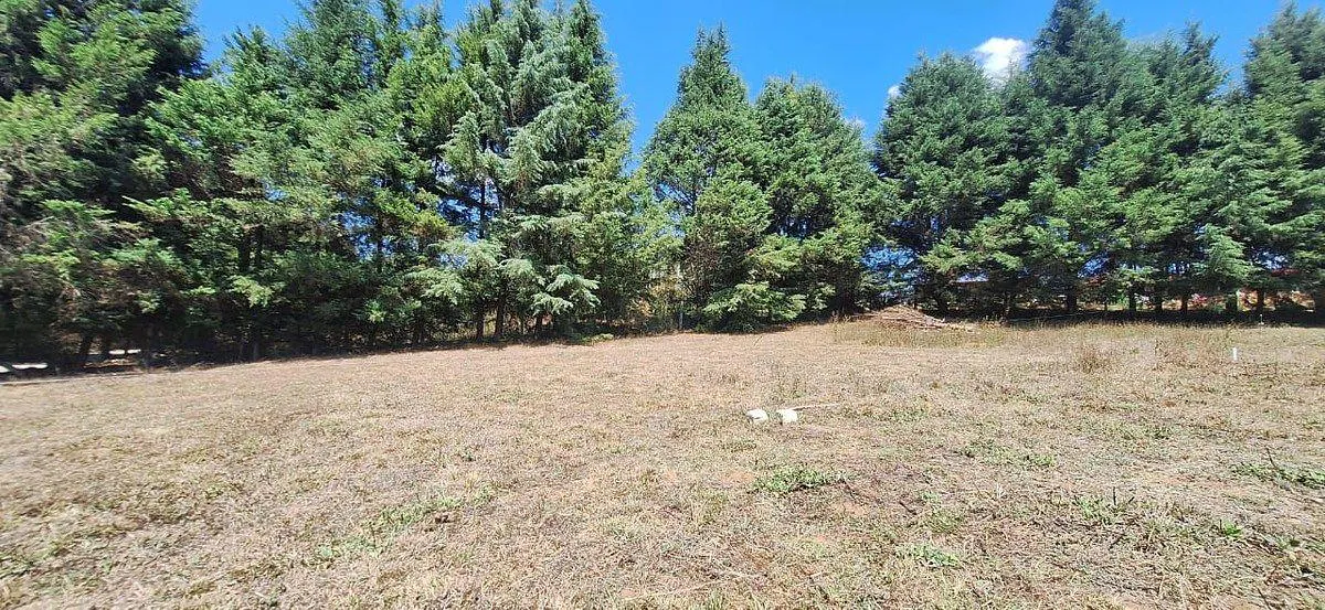 Terreno Spot2