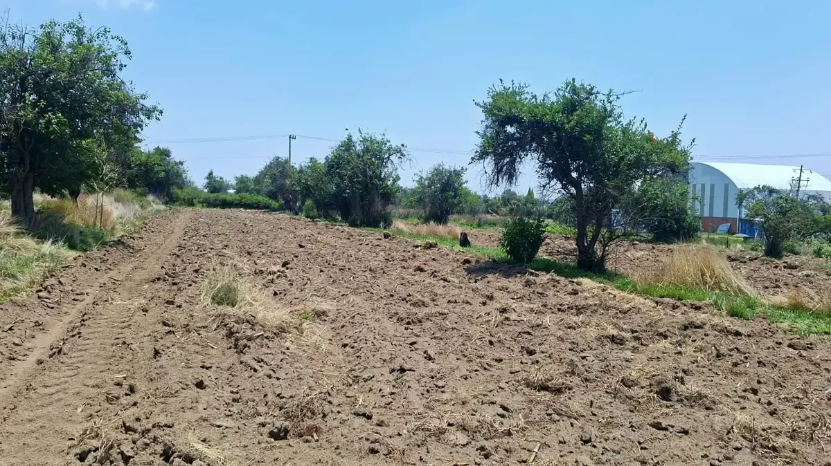Terreno Spot2
